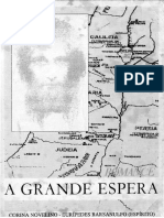 A Grande Espera (Psicografia Corina Novelino - Espirito Euripedes Barsanulfo) PDF