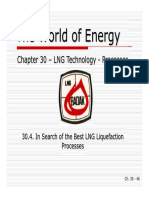 30D - in Search of The Best LNG Liquefaction Processes