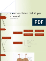 Examen Físico Del XI Par Craneal