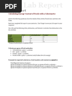 Lab Report: Calculating Energy Content of Foods With A Calorimeter