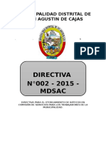 Directiva para El Otorgamiento de Viáticos