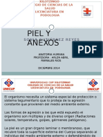 Piel y Anexos