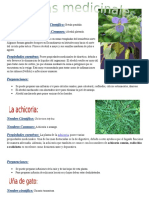 Plantas Medicinales