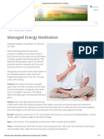 Managed Energy Meditation - Kundalini