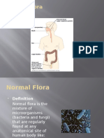 Normal Flora