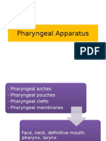 Pharyngeal Apparatus