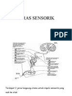 Jaras Saraf Dan Jaras Motorik Saraf Kranialis