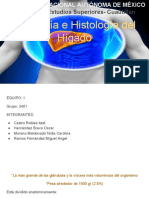 Anatomía e Histología Del Hígado