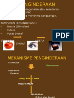 UI Penginderaan