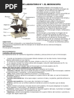 Practica de Laboratorio N