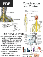 Chapter 12 Coordination and Control