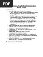 CH 9 Cellular Respiration and Fermentation Notes