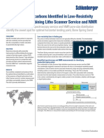 Lithoscanner Identify Hydrocarbons Bone Spring Cs PDF