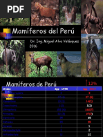 Mamiferos Del Peru