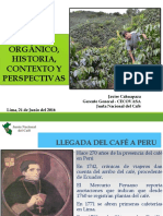 Cafe Organico Historia, Contexto y Perspectivas JNC PDF