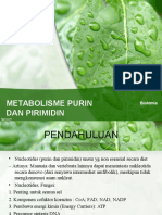 Metabolisme Purin Dan Pirimidin