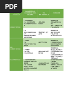 Clasificación de Inhibidores y Enzimas