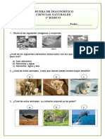 Diagnostico Ciencias Naturales