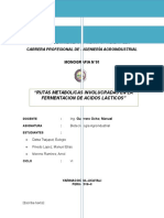 Acido Lactico - BIOTEC.