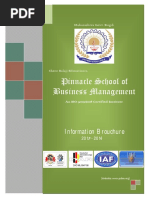 Pinnacle School of Business Management: Information Brouchure