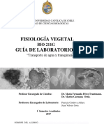 Experimento Fisiologia Vegetal