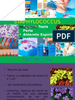 Diapositiva Staphylococcus