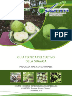 Guia Cultivo Guayaba PDF