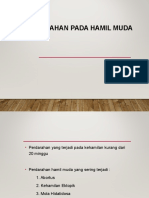 Perdarahan Hamil Muda