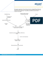 In Situ Hybridization PDF