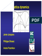 Lattice Dynamics