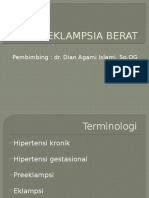 Preeklampsia Berat: Pembimbing: Dr. Dian Agami Islami, SP - OG