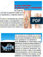 Farmacologia Del Sistema Reproductor Masculino y Femenino