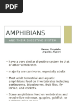 Digestive Amphibians