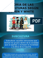 Teoria de Las Subculturas Según