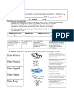 Prueba de La Célula 5 y Funciones Vitales y Organizacion