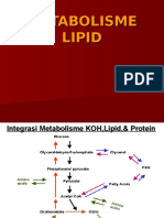 Metabolisme Lipid