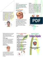 Leaflet Cedera Kepala