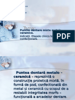 Puntile Dentare Mixte Metalo - Ceramice.