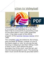 Volleyball