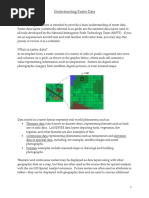 RasterPrimer PDF