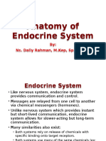 Review Anatomy of Endocrine System