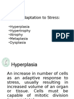 Cellular Adaptation To Stress:: - Hyperplasia - Hypertrophy - Atrophy - Metaplasia - Dysplasia