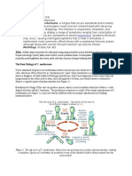 Cryptococcus Neoformans: A Fungus That Occurs Worldwide and Is Mainly