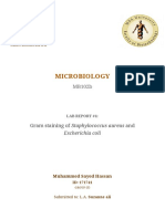 Report: Gram Staining of Staphylococcus Aureus and Escherichia Coli