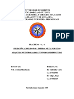 Micrografia Ensayo PDF