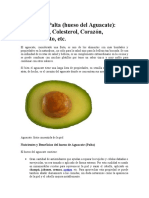 Semilla de Palta 8 (Hueso de Ahuacate)