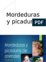 Mordeduras y Picaduras