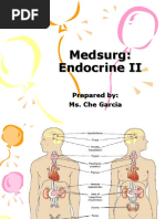 Endocrine System 2 Review