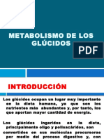 Metabolismo de Los Glúcidos