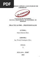 Informe Practicas Pre Profesionales